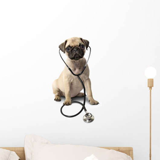 Dog With Stethoscope Wall Decal