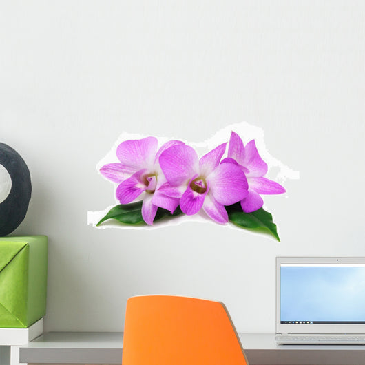 Orchid