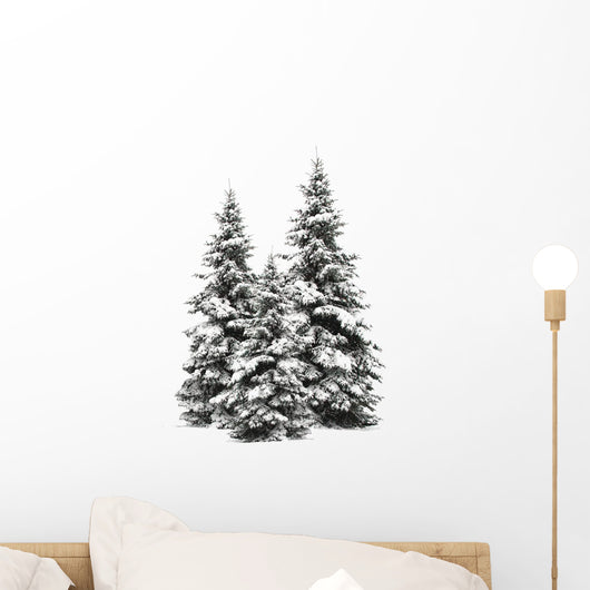 Pine trees isolated on white Wall Decal