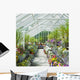 greenhouse, Birr Castle Gardens, County Offaly, Ireland Wall Mural