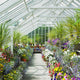 greenhouse, Birr Castle Gardens, County Offaly, Ireland Wall Mural