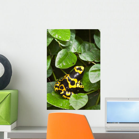 Black and Yellow Tropical