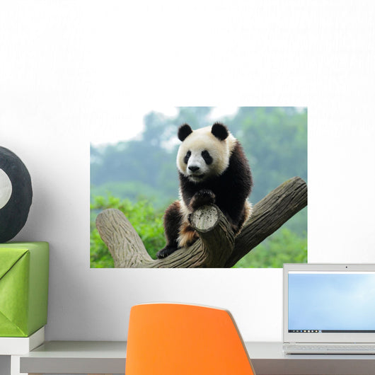 Giant Panda Bear Tree
