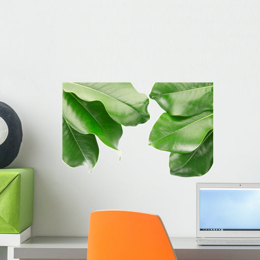 Tropical Frame with Clipping