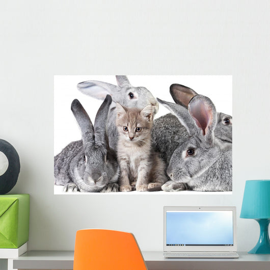 Cute animals Wall Mural