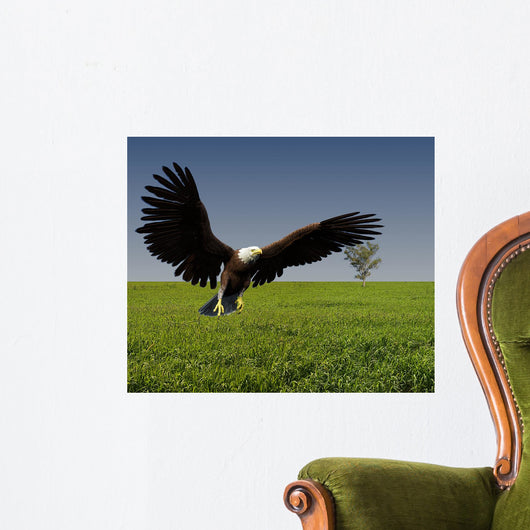 Eagle