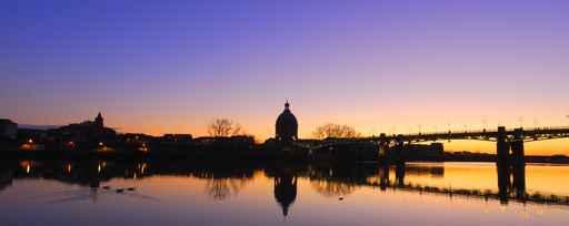 Toulouse Nocturne Wall Decal