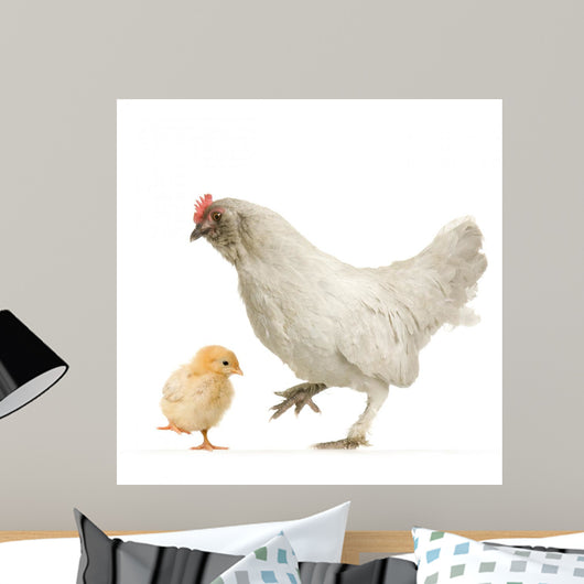 Poule Et Son Poussin Wall Decal
