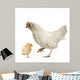 Poule Et Son Poussin Wall Decal