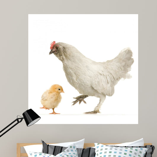 Poule Et Son Poussin Wall Decal
