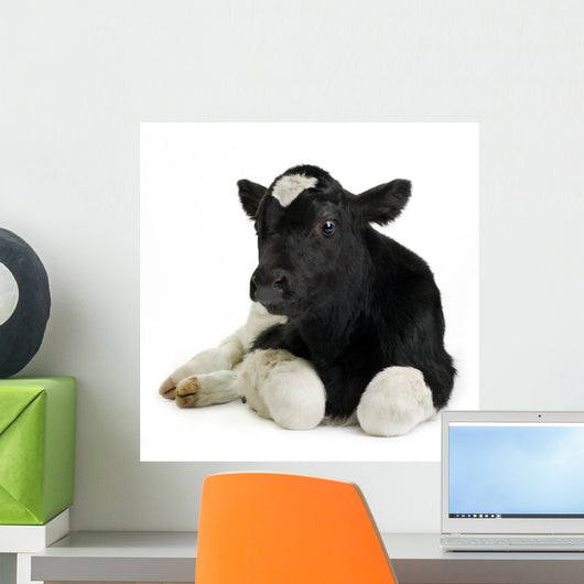 Veau Wall Decal