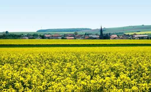 Culture and Village Wall Decal