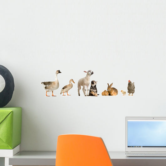 Farm Animals Wall Decal