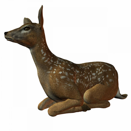 Deer Wall Decal