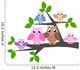 Owl Family
