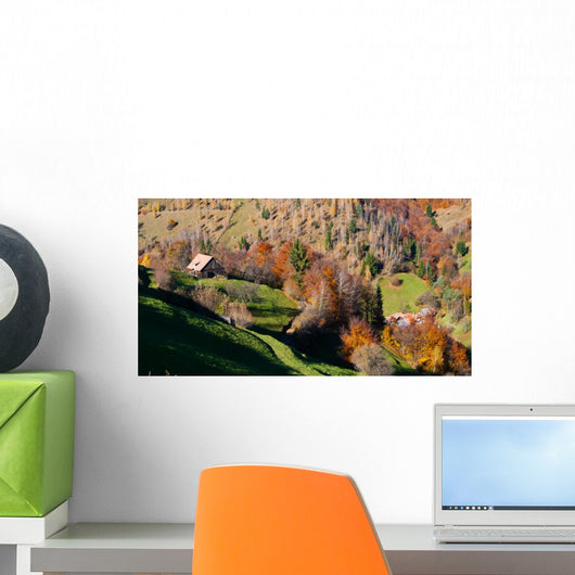 Rural Landscape Romania Wall Mural