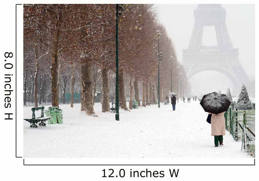 Umbrella and Snow at the Eiffel Tower - Paris Wall Mural