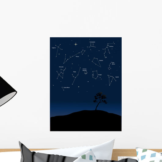 constellations 1 Wall Mural