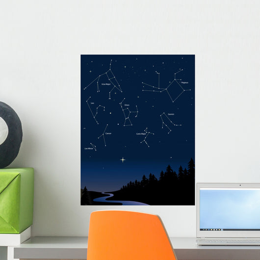 constellations 1 Wall Mural