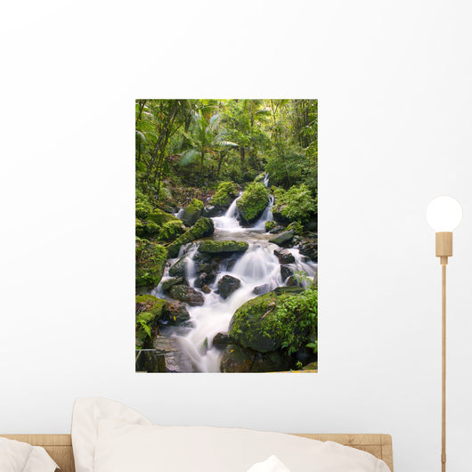 El Yunque River Stream