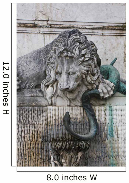 Marble Lion and Bronze