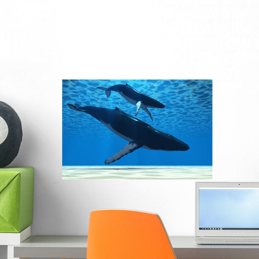 Humpback Mother