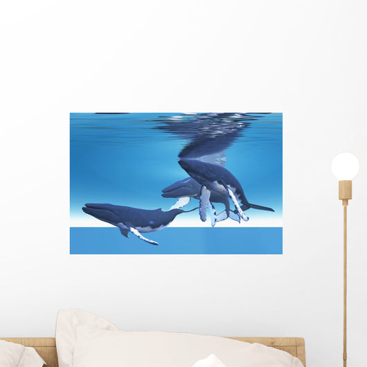 Underwater Whales