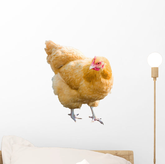 Golden Hen Wall Decal