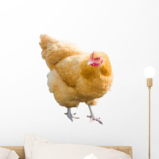 Golden Hen Wall Decal
