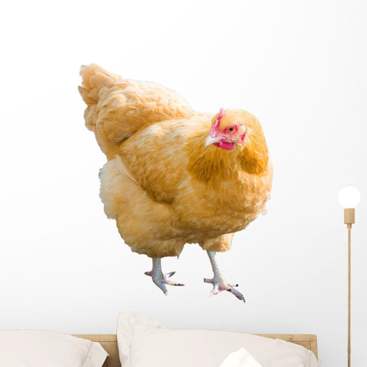 Golden Hen Wall Decal