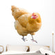 Golden Hen Wall Decal
