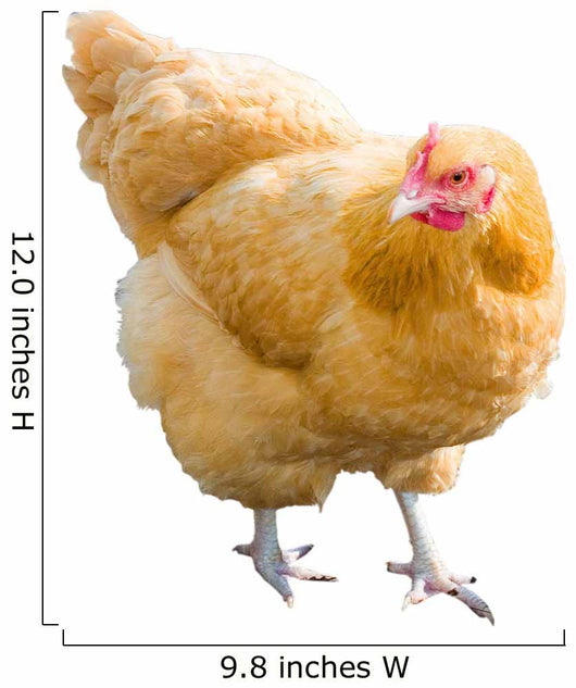 Golden Hen Wall Decal