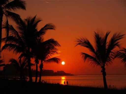 Caribbean Sunset Wall Decal