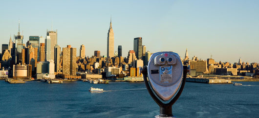 overlooking new york city Wall Mural
