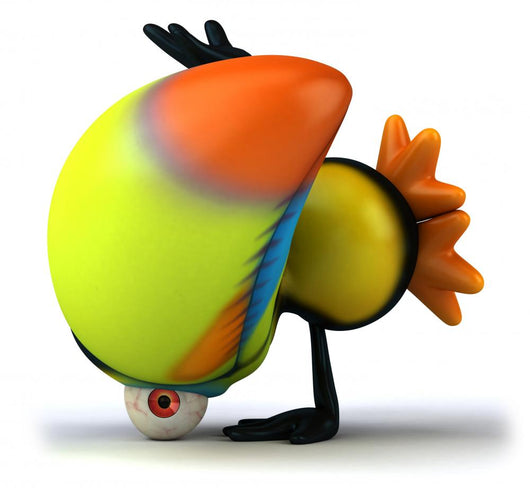 Toucan Wall Decal