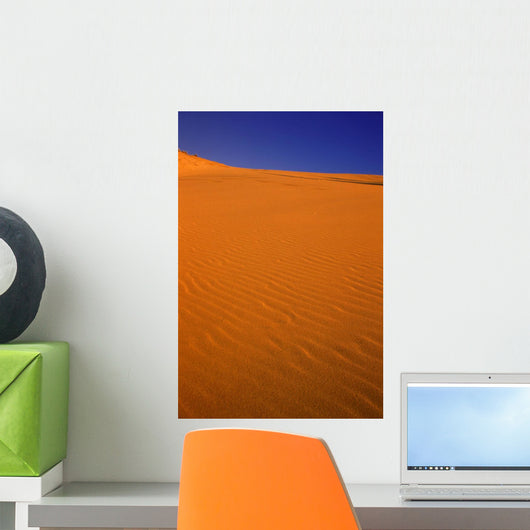 Ripples In The Sand Wall Mural