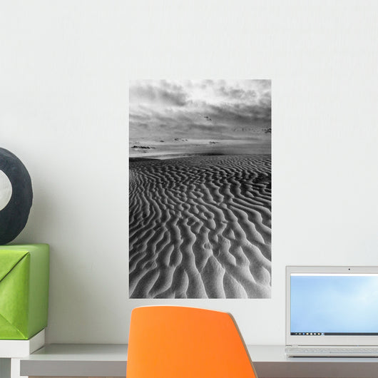 Ripples In The Sand Wall Mural