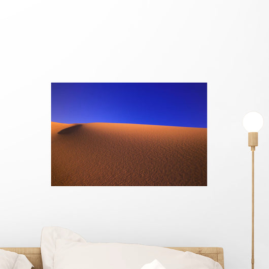 Ripples In The Sand Wall Mural