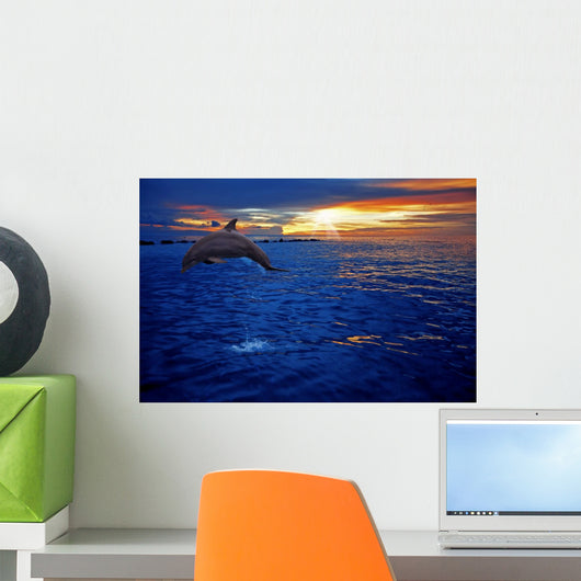 Dolphin Jumping Wall Mural