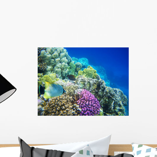 Underwater Life of a Hard-Coral Reef Wall Mural
