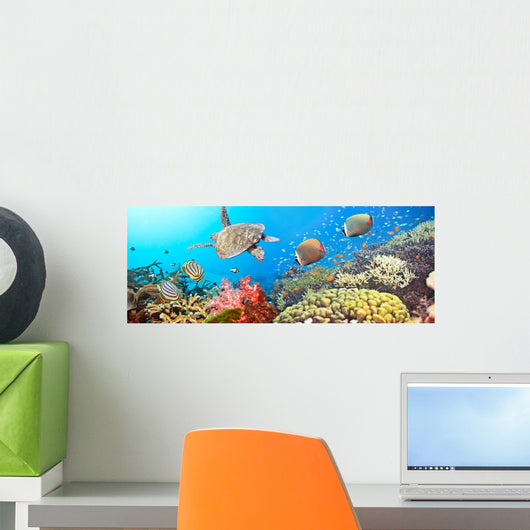 Underwater Panorama Wall Mural