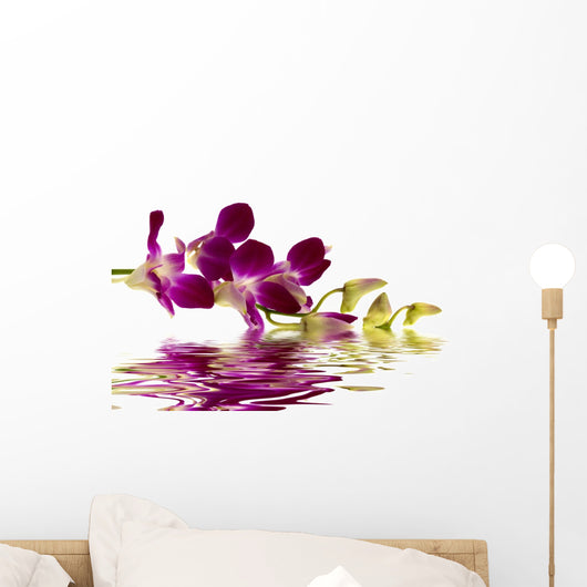 Purple Orchid