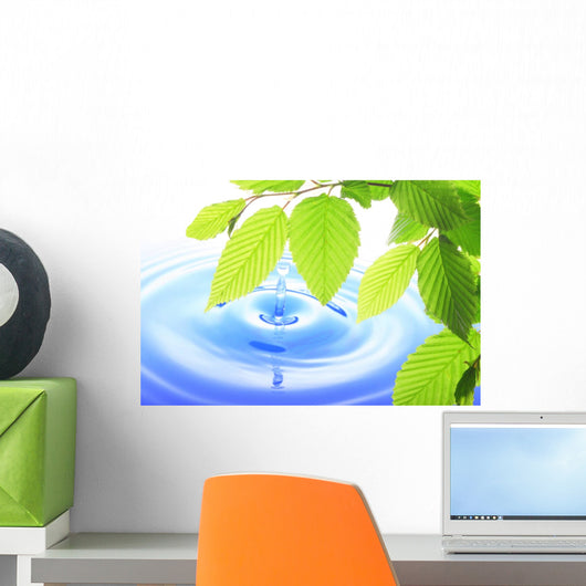 Green Leaf and Water