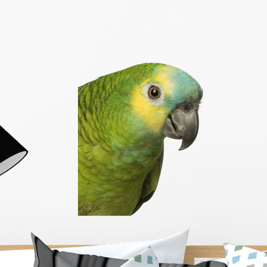 A Blue Front Amazon - Amazona Aestiva Wall Decal