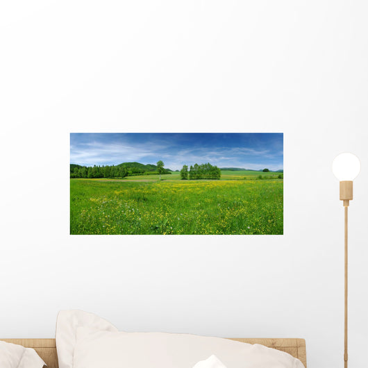 Fresh Flowered Meadow