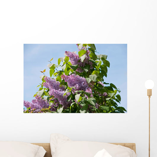 lilac Wall Mural