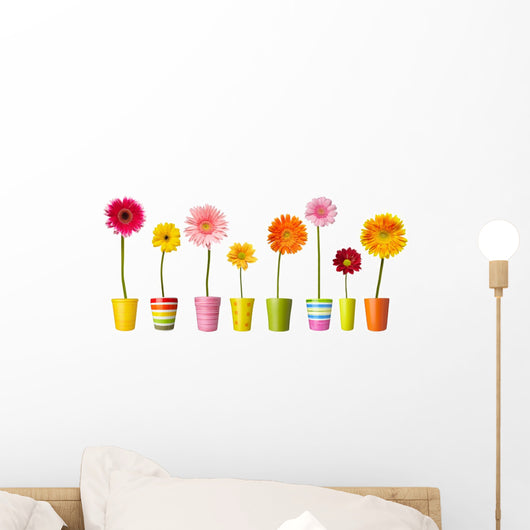 flower nature garden botany daisy bloom pot Wall Decal