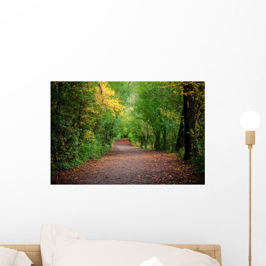 Path Woods