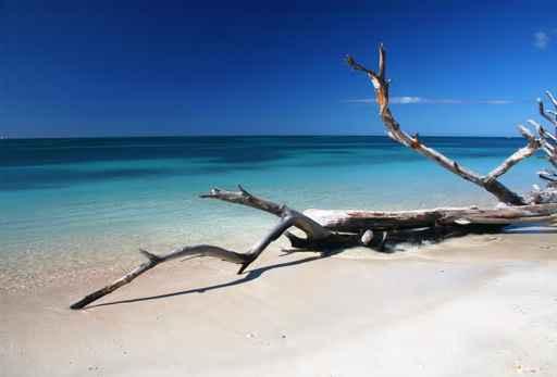 Caribic Selection Cuba V Wall Decal