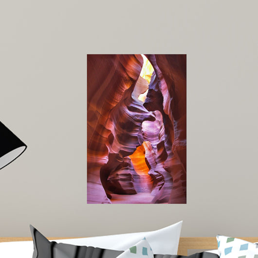 Canyon Antelope Wall Mural